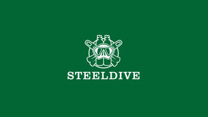 Reloj Hombre STEELDIVE SD1970